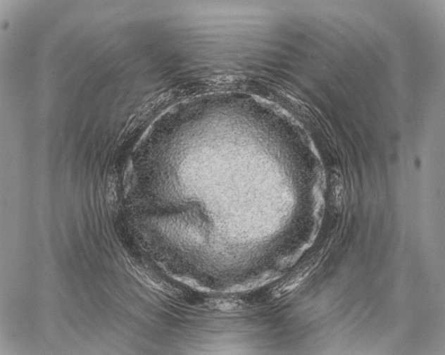 X0000062670654200601041011