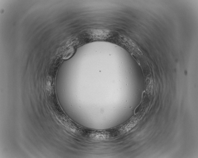 X0000062670655200601041011