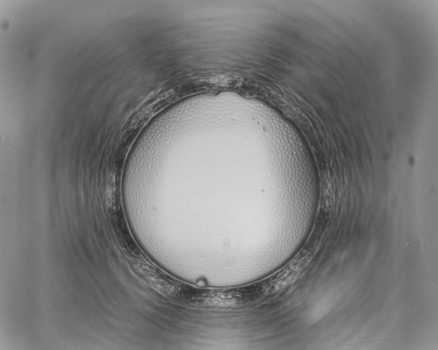 X0000062670656200601041011