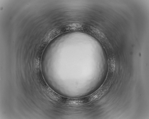 X0000062670657200601041011