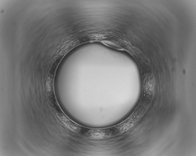 X0000062670658200601041011