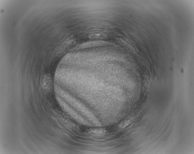 X0000062670659200601041011