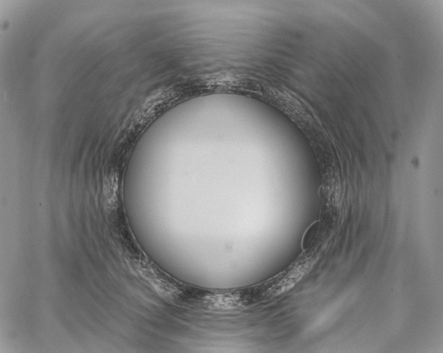 X0000062670660200601041011