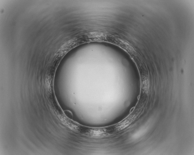 X0000062670662200601041011