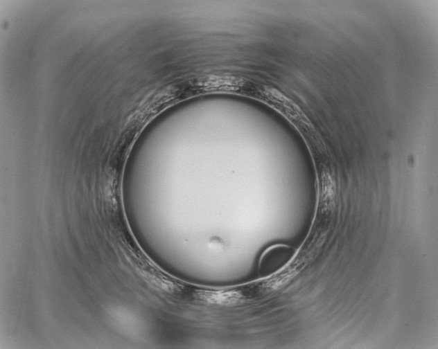 X0000062670663200601041011