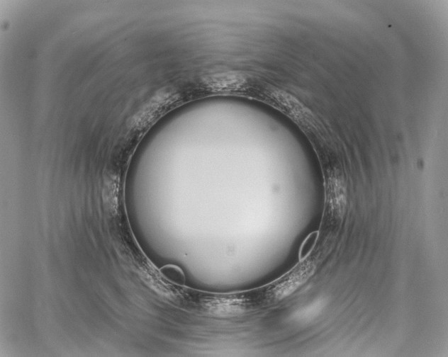 X0000062670664200601041011