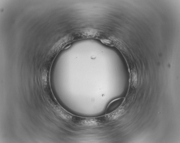 X0000062670668200601041011