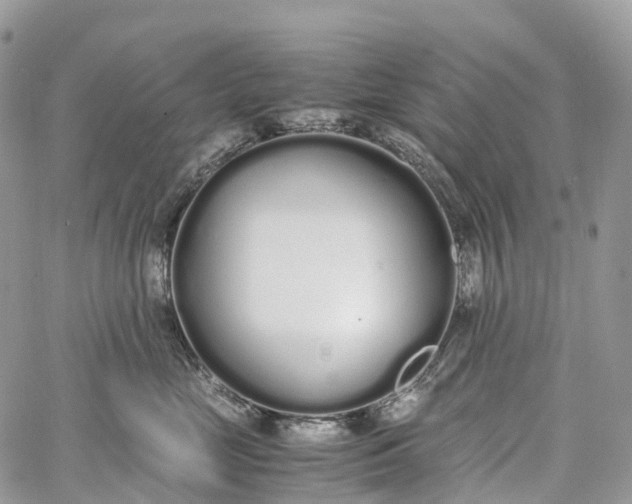 X0000062670669200601041011