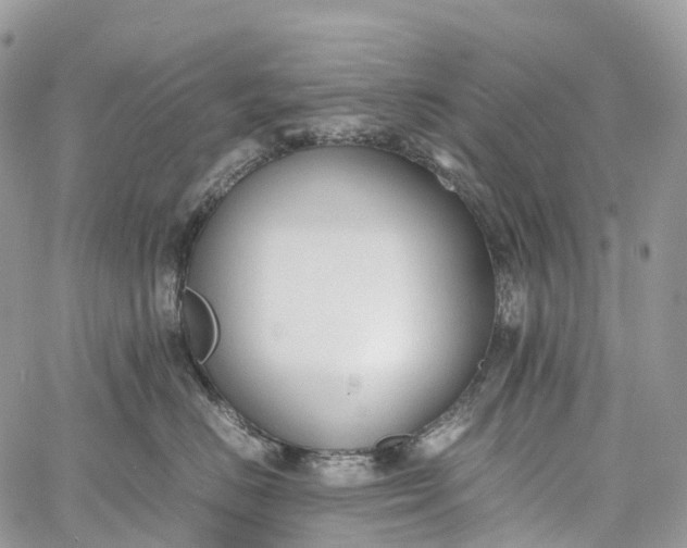 X0000062670670200601041011