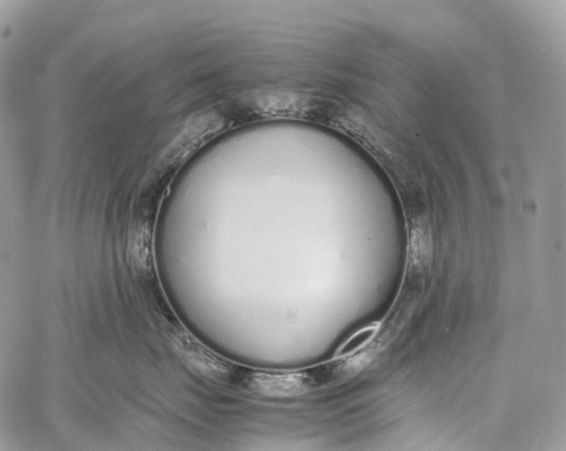 X0000062670671200601041011