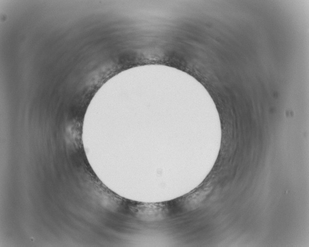 X0000062670672200601041011