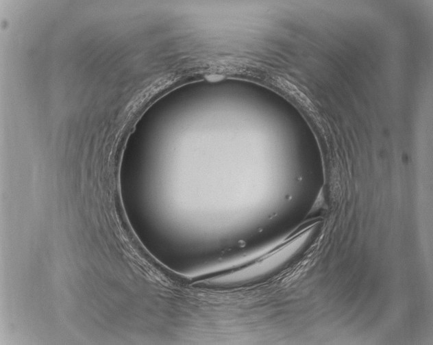 X0000062670673200601041010