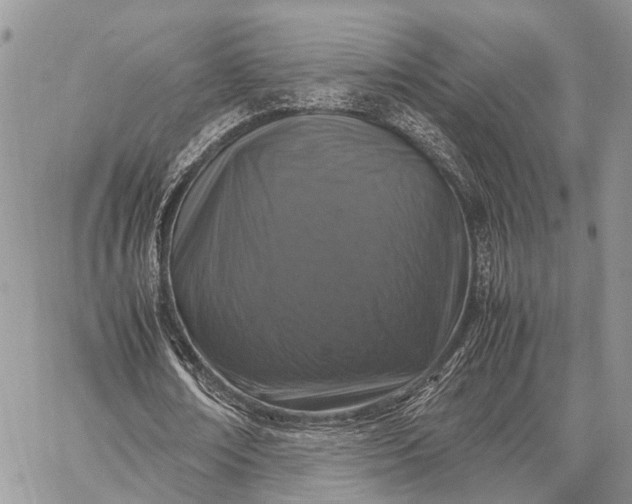 X0000062670674200601041010