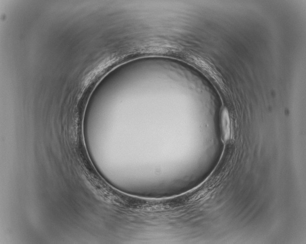 X0000062670675200601041010