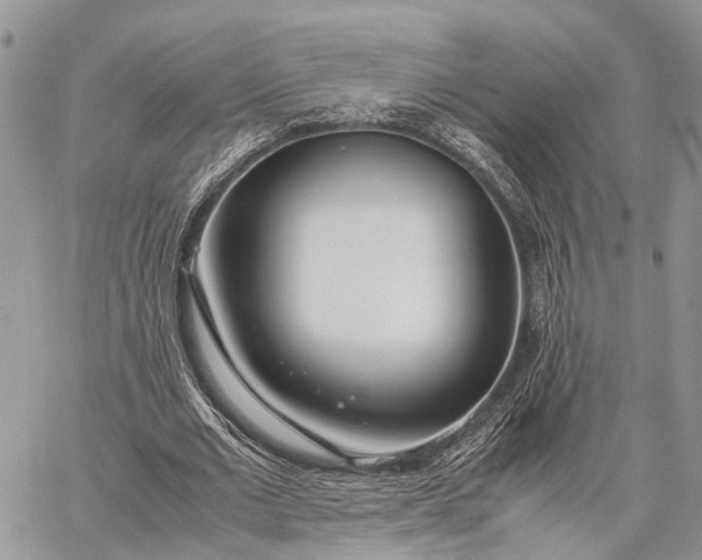 X0000062670677200601041010