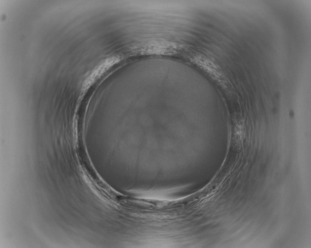 X0000062670678200601041010