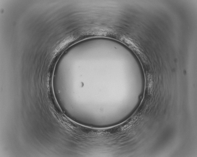 X0000062670679200601041010