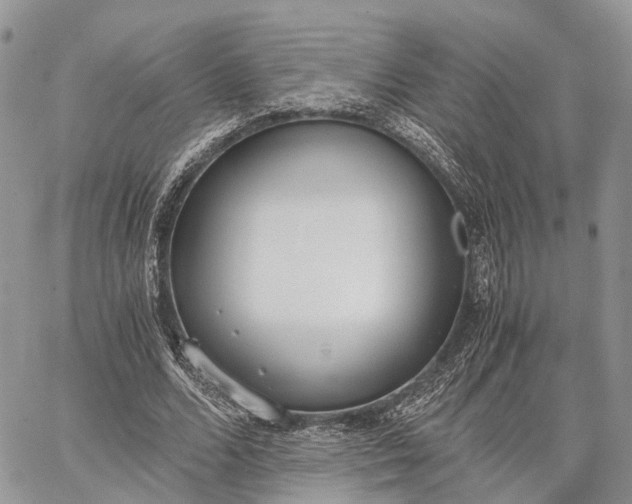 X0000062670680200601041010