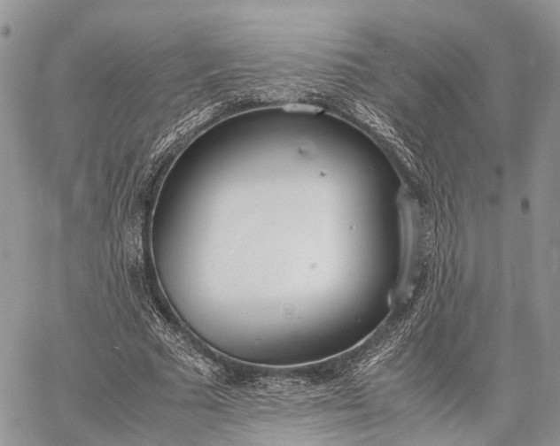 X0000062670681200601041010