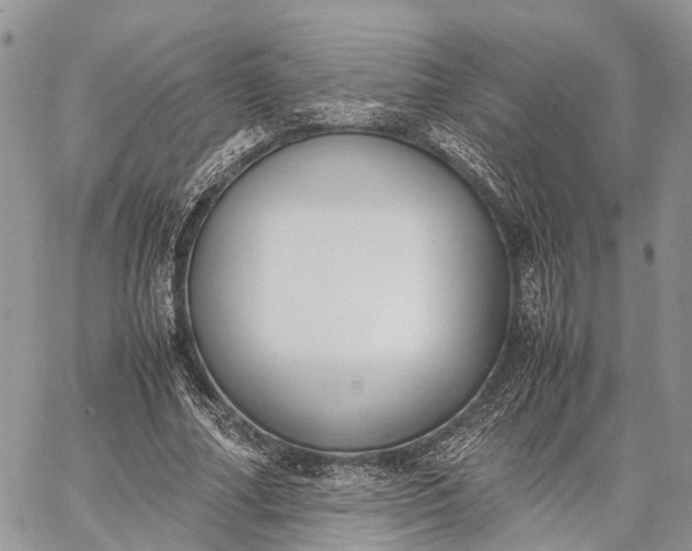 X0000062670682200601041010