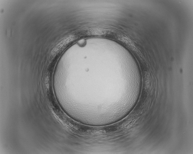 X0000062670683200601041010