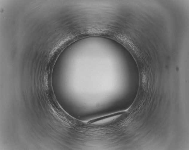 X0000062670684200601041010