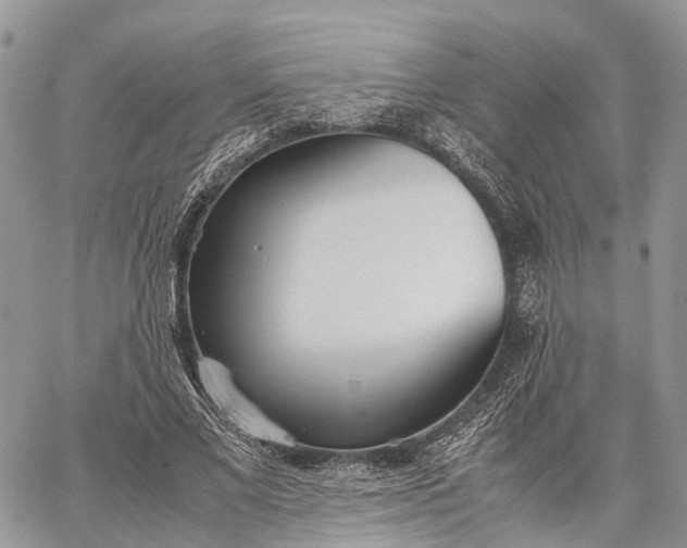 X0000062670685200601041010