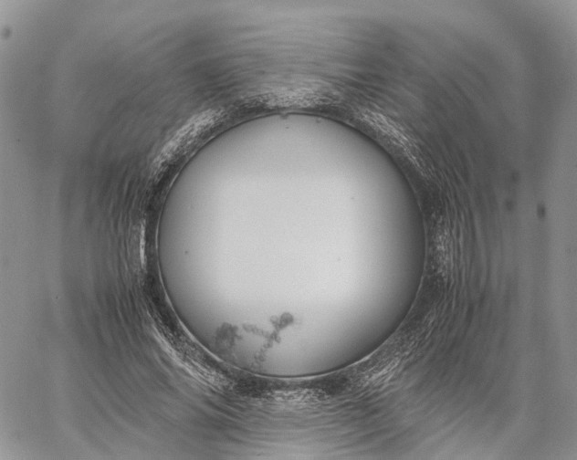 X0000062670686200601041010