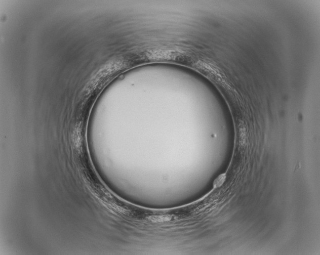 X0000062670687200601041010