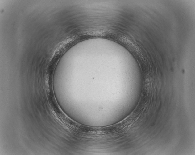 X0000062670688200601041010