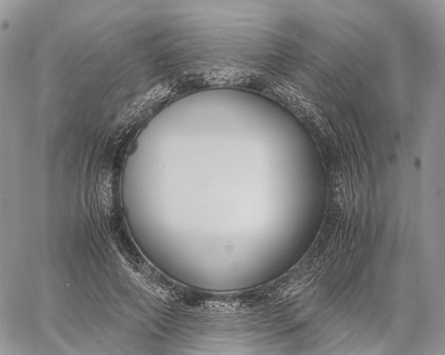 X0000062670690200601041010