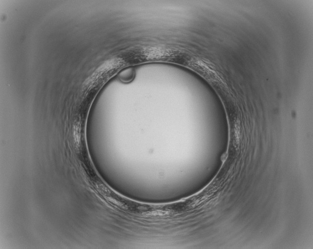 X0000062670691200601041010