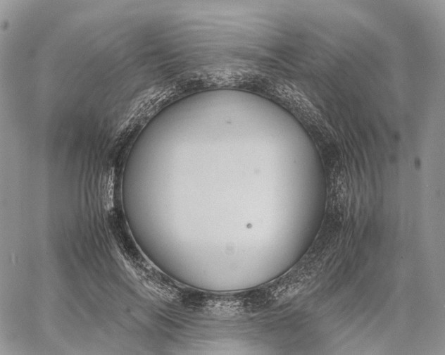 X0000062670694200601041010