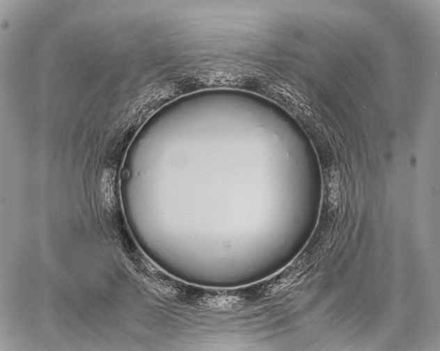 X0000062670695200601041010