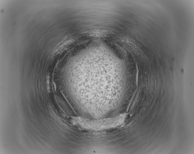 X0000062670696200601041010