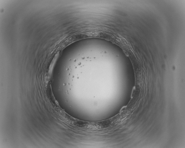 X0000062670697200601041010