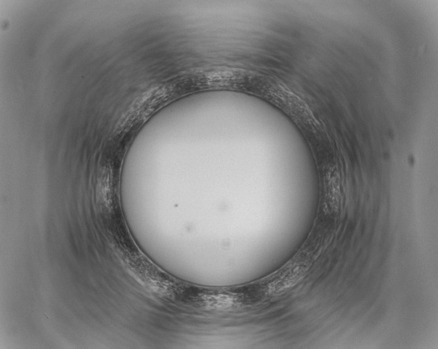 X0000062670698200601041010