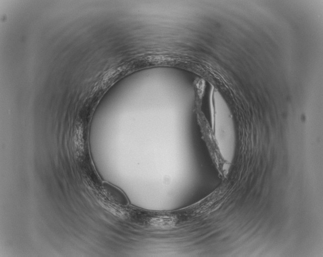 X0000062670700200601041010