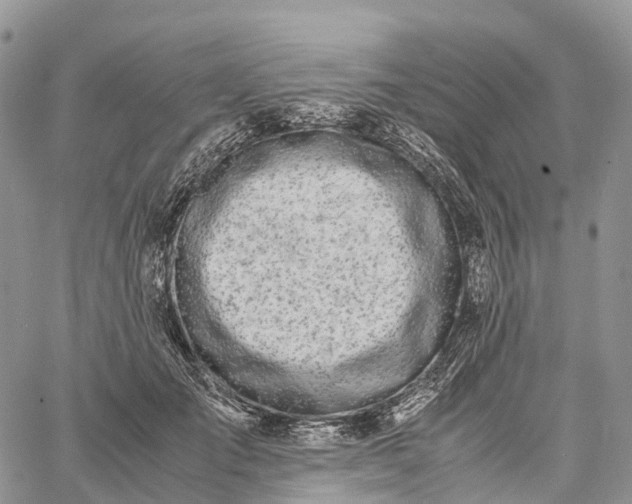 X0000062670701200601041010