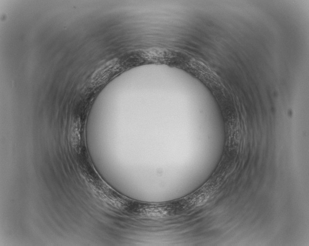 X0000062670702200601041010