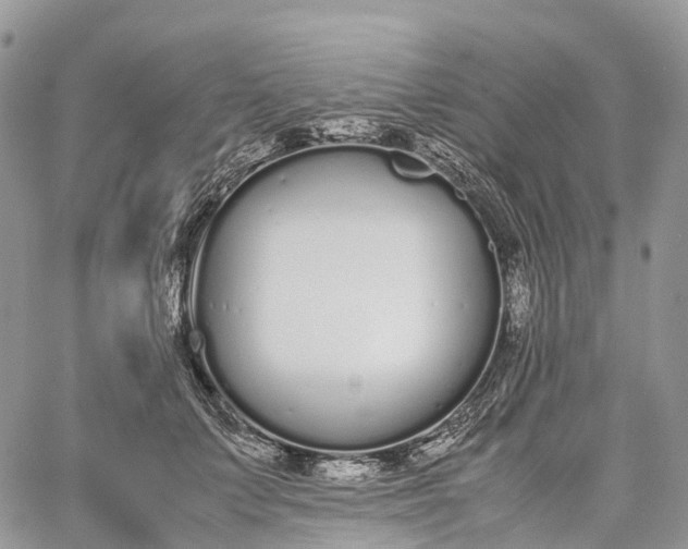 X0000062670703200601041010