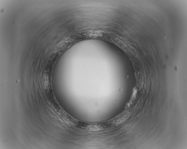 X0000062670704200601041010