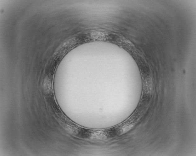 X0000062670705200601041010