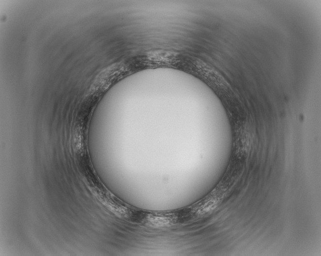 X0000062670706200601041010