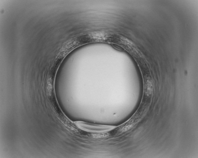 X0000062670707200601041010