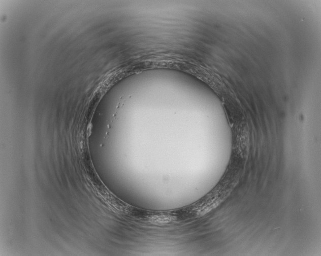 X0000062670708200601041010