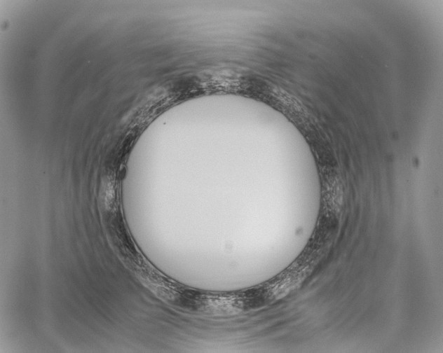 X0000062670709200601041010