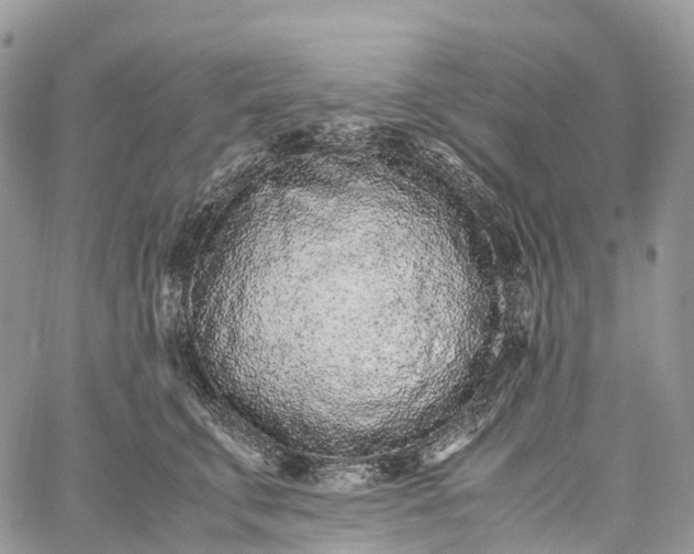 X0000062670711200601041010