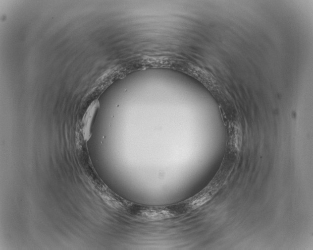 X0000062670712200601041010