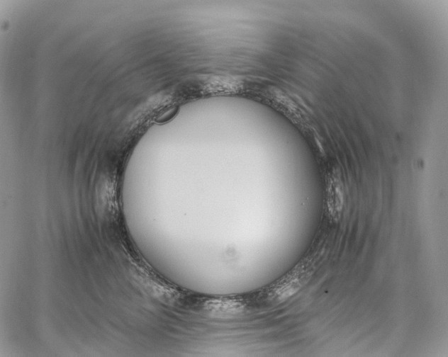 X0000062670714200601041010